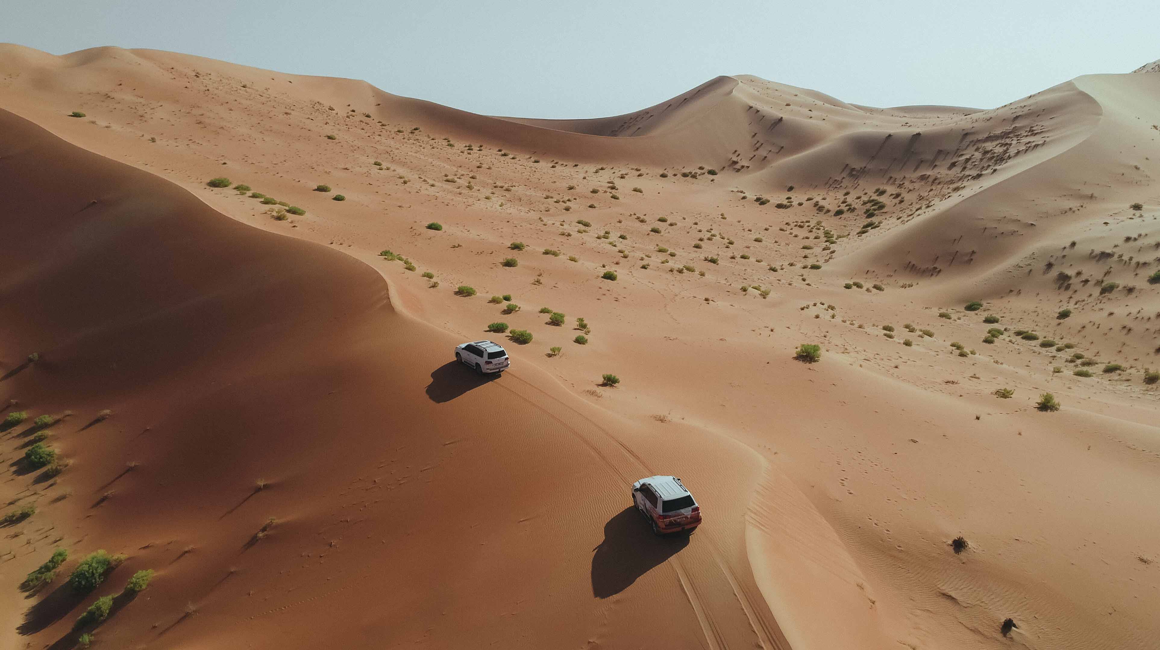 En el desierto